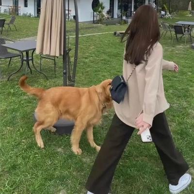 好汉不死