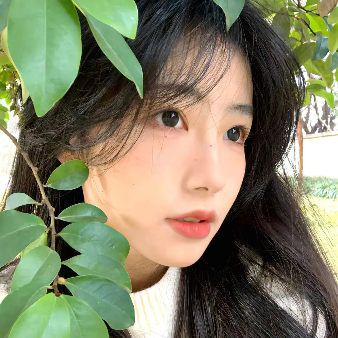 疯狗和格洛丽